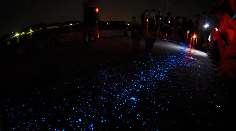 Fluorescent Slime Makes a Nighttime Appearance on Awaji Island