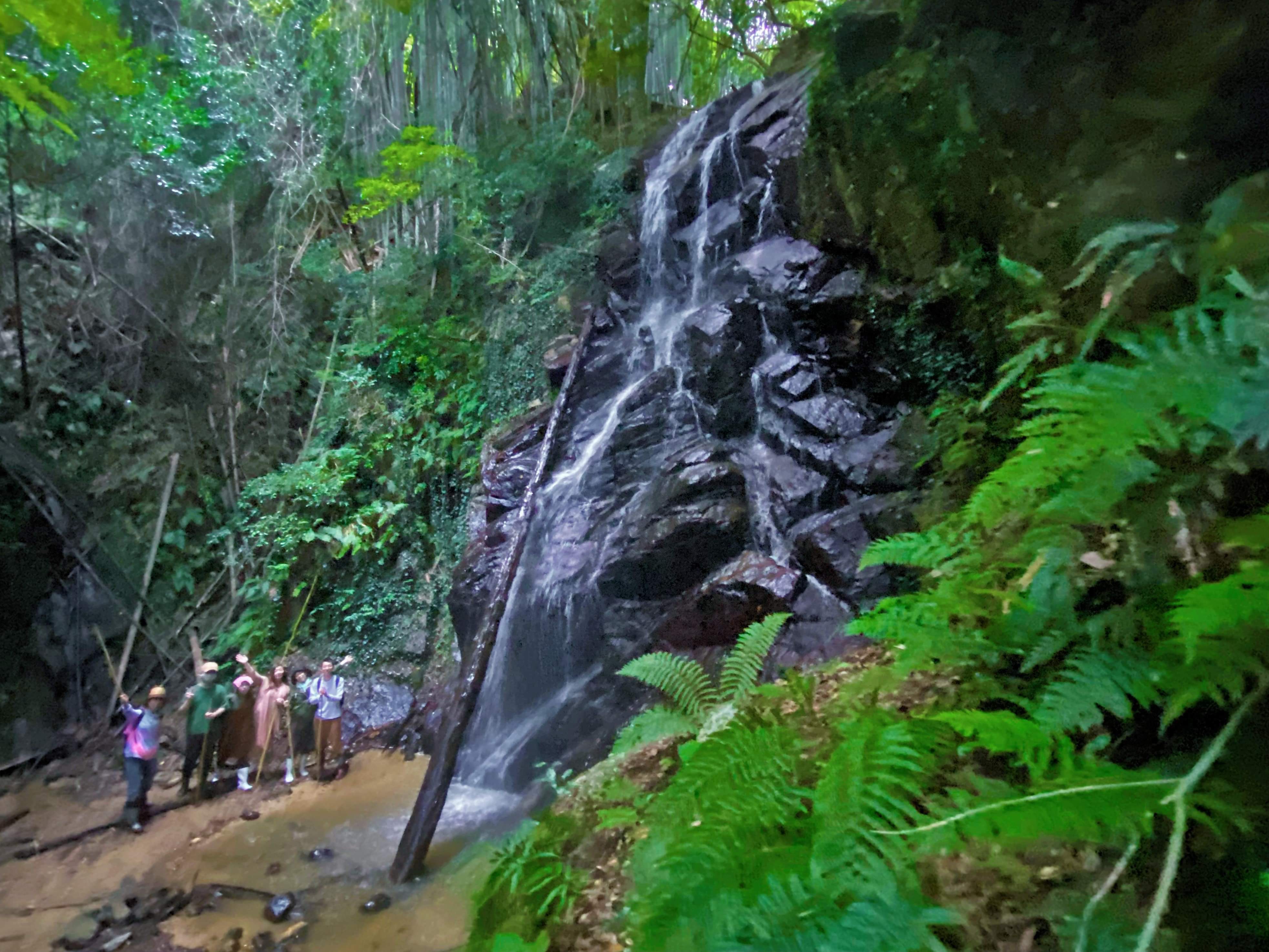 【7・8・9月限定】秘境の「がいな滝」と渓流で淡路島の夏を楽しもう! 淡路島の自然を知り尽くしたネイチャーガイド&セラピストと過ごすリトリートツアー